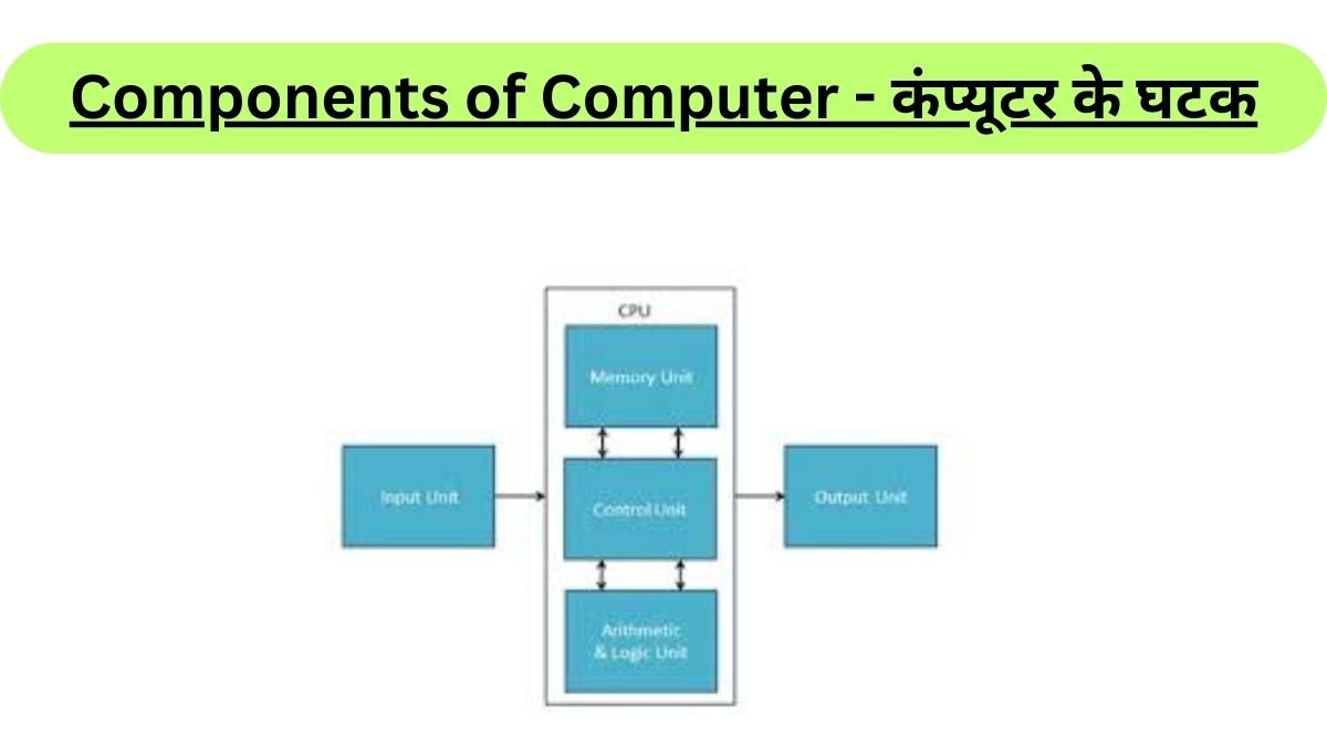 Components of Computer