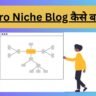 Micro Niche Blog Kya Hai