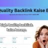 High Quality Backlink Kaise Banaye? जाने 11 जबरदस्त तरीके