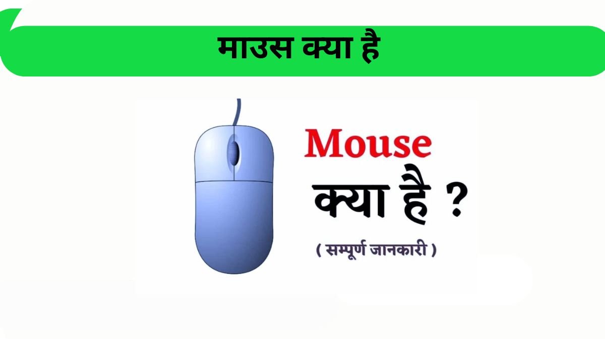 What is Mouse in Hindi